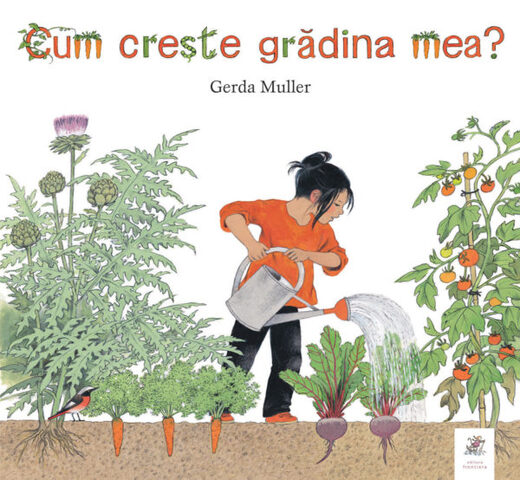 Cum creste gradina mea