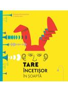 Tare, incetisor, in soapta